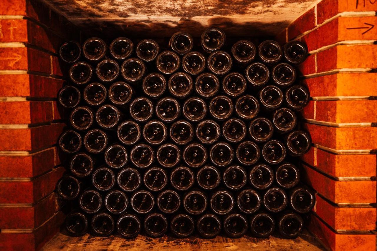 Wine Paradise Glavinic Miklavz pri Ormozu Εξωτερικό φωτογραφία